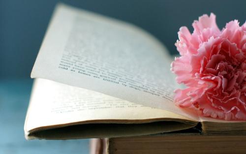 本科毕业论文查重率多少算通过