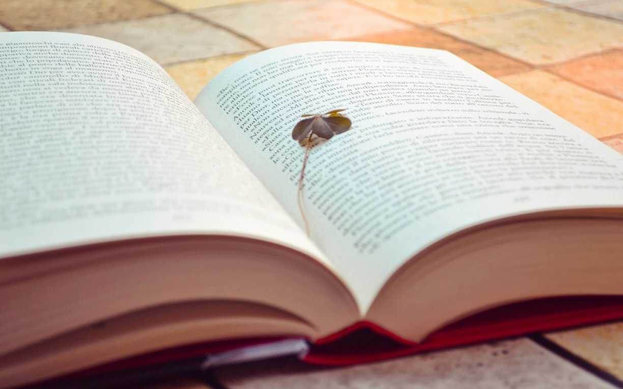 过来人的经验告诉你：拼凑的论文查重能过吗