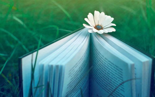 硕士毕业论文致谢查重吗